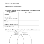 11 5th Grade Science Mixtures And Solutions Worksheets Worksheeto