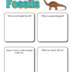11 Fossils Activities Worksheets Free PDF At Worksheeto