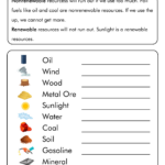 11 Fossils Activities Worksheets Free PDF At Worksheeto