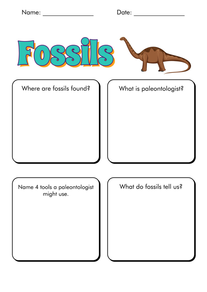 11 Fossils Activities Worksheets Free PDF At Worksheeto