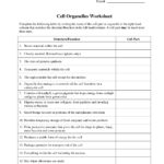 13 Life Science Worksheet Answer Worksheeto