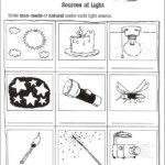 1st Grade Science Worksheet On Light