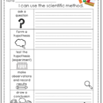 2nd Grade Science Experiment Worksheet