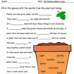 2nd Grade Science Worksheets On Plants