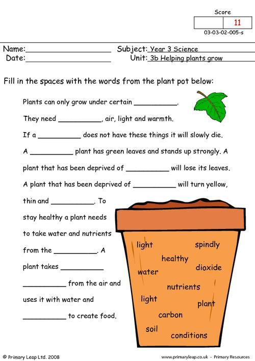 2nd Grade Science Worksheets On Plants