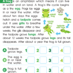 2nd Grade Science Worksheets Word Lists And Activities Greatschools