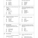 5Th Grade Science Printable Worksheet