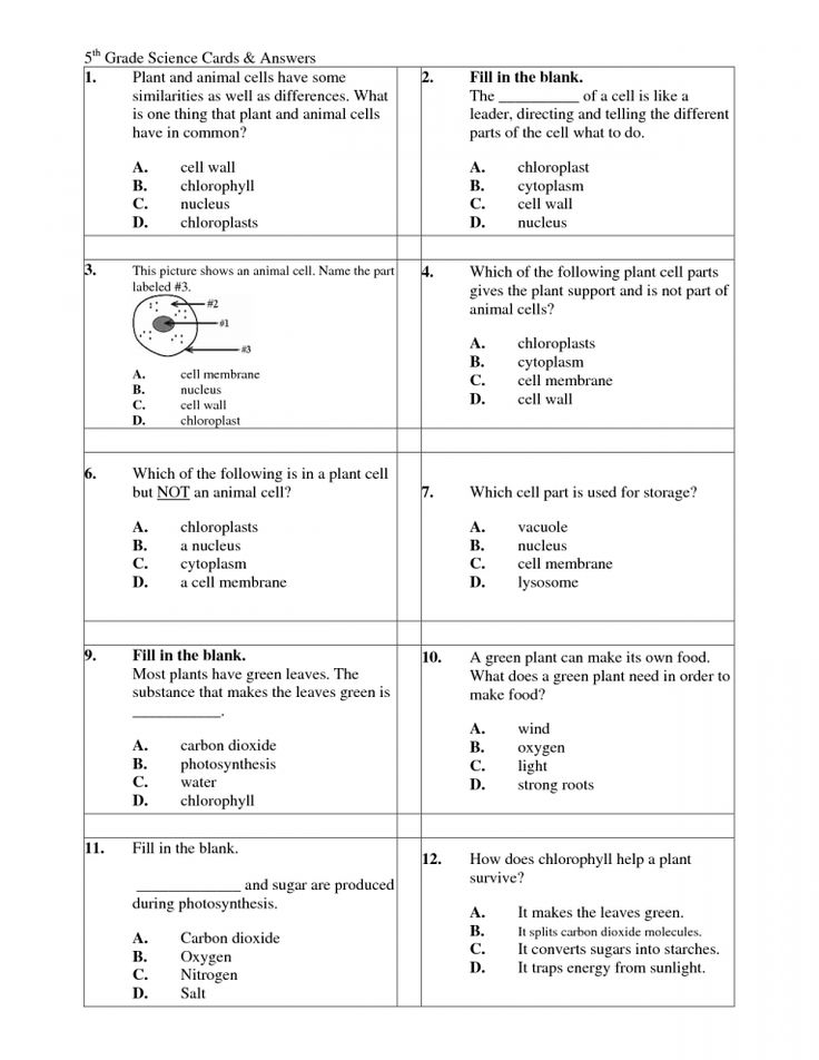 5Th Grade Science Printable Worksheet