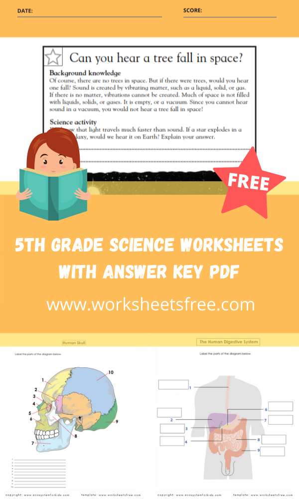 5th Grade Science Worksheets With Answer Key Pdf In 2023 Worksheets Free