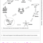 6th Grade Science Worksheets