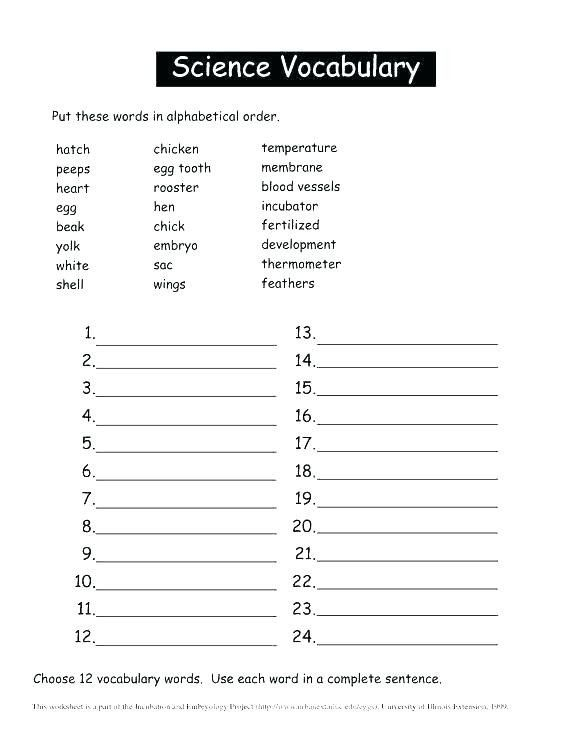 7th Grade Life Science Worksheets