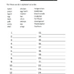 7th Grade Life Science Worksheets