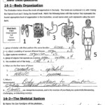 7th Grade Life Science Worksheets Pdf