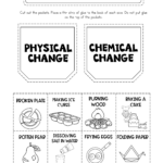 7th Grade Science Worksheet Printable