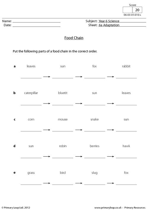 8 4th Grade Science Food Chain Worksheet Worksheeto