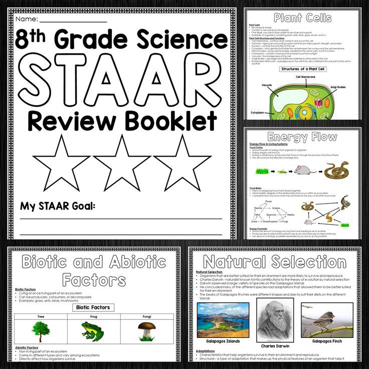 8th Grade Science STAAR Review Booklet Bundle 8th Grade Science