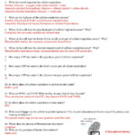 Amoeba Sisters Nature Of Science Worksheet Answers