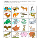 Animal Worksheet Have Fun Teaching