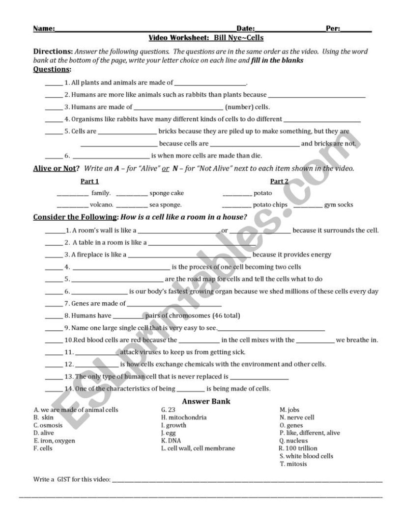 Bill Nye Plants Worksheet