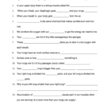 Bill Nye Respiration Worksheet