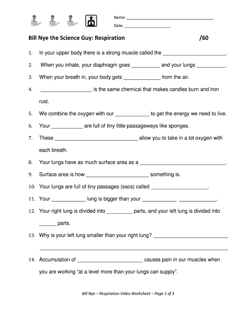 Bill Nye Respiration Worksheet