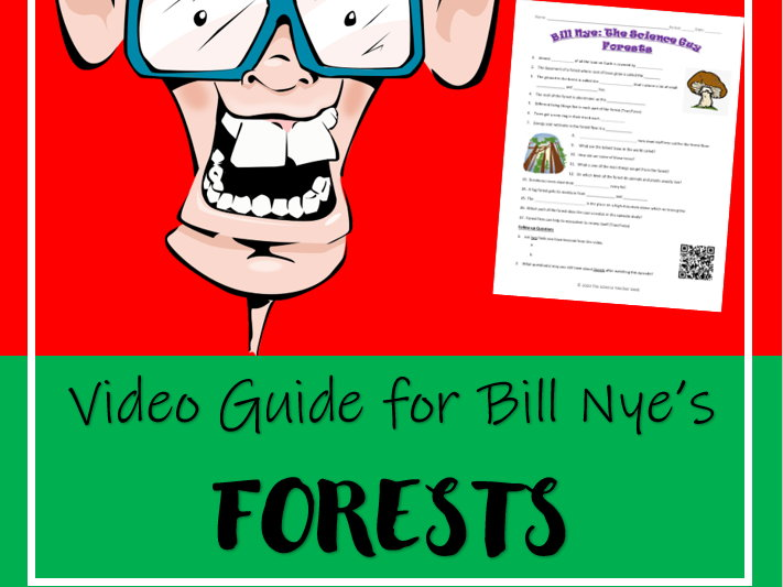 Bill Nye The Science Guy FORESTS Video Worksheet Teaching Resources