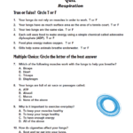 Bill Nye The Science Guy Motion Worksheet Answers