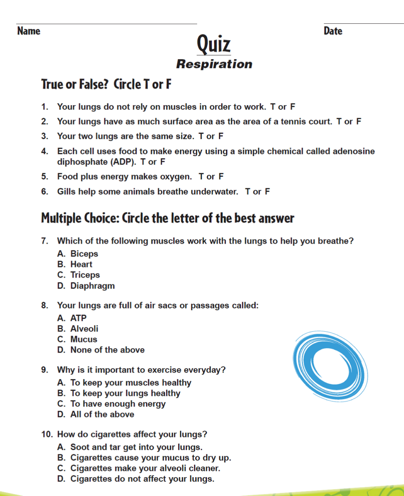 Bill Nye The Science Guy Motion Worksheet Answers