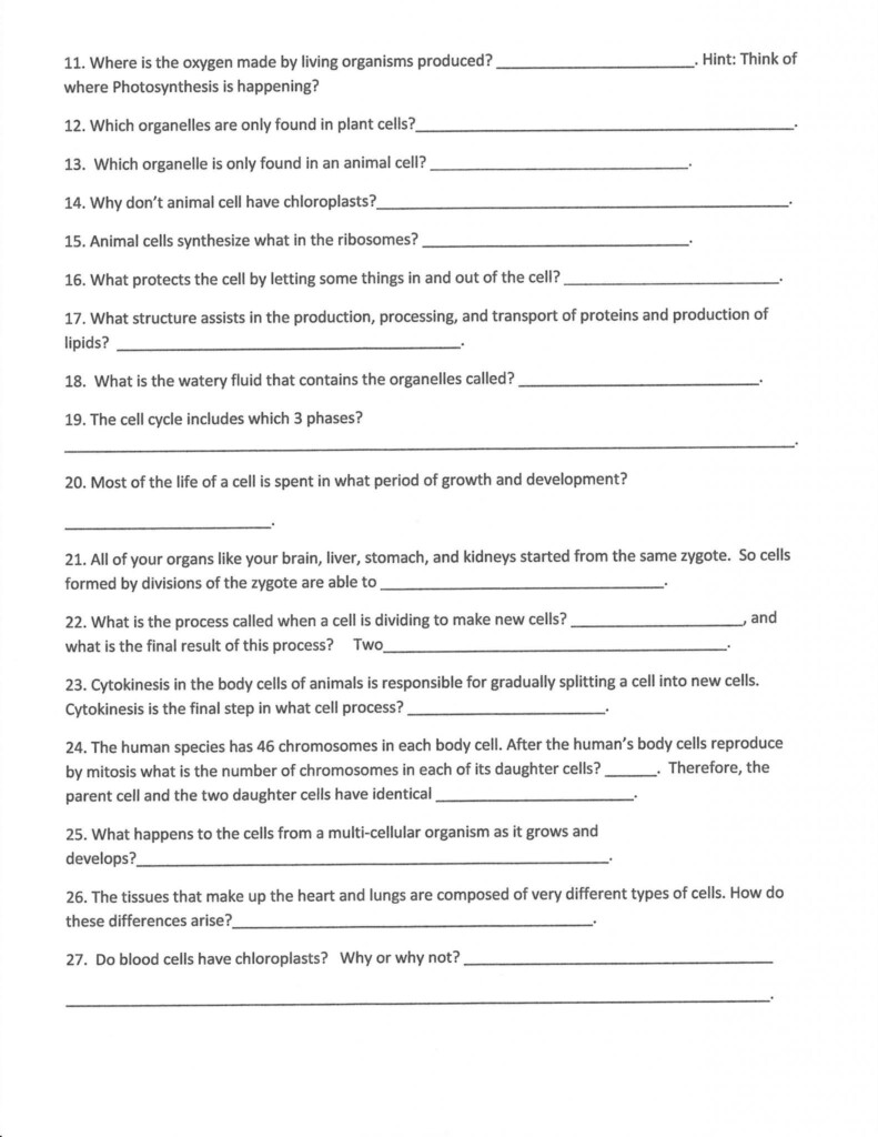 Bozeman Biology Photosynthesis And Respiration Video Worksheet Answers 