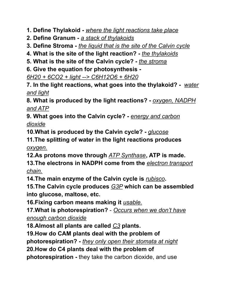 Bozeman Photosynthesis Worksheet Answers