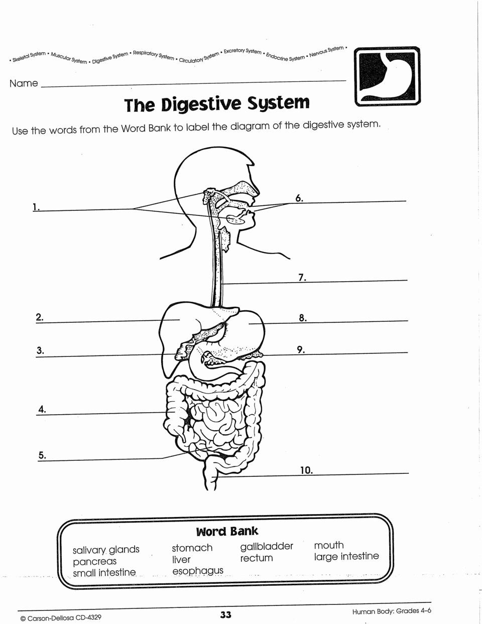 Carson Dellosa Worksheets Answers