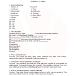 CBSE Class 7 Science Nutrition In Plants Worksheets With Answers