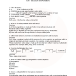 CBSE Class 8 Science Cell Worksheets With Answers Chapter 8