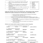 Cell Membrane Transport Worksheet Answers