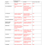 Cell Organelles Worksheet Answer Key