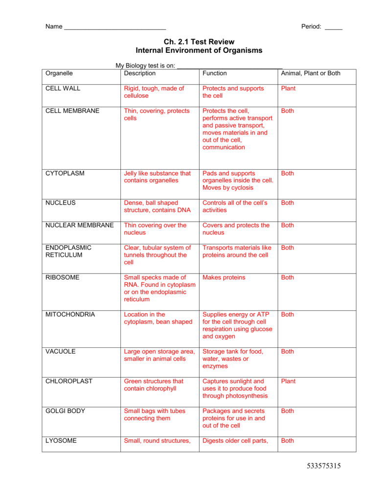 Cell Organelles Worksheet Answer Key