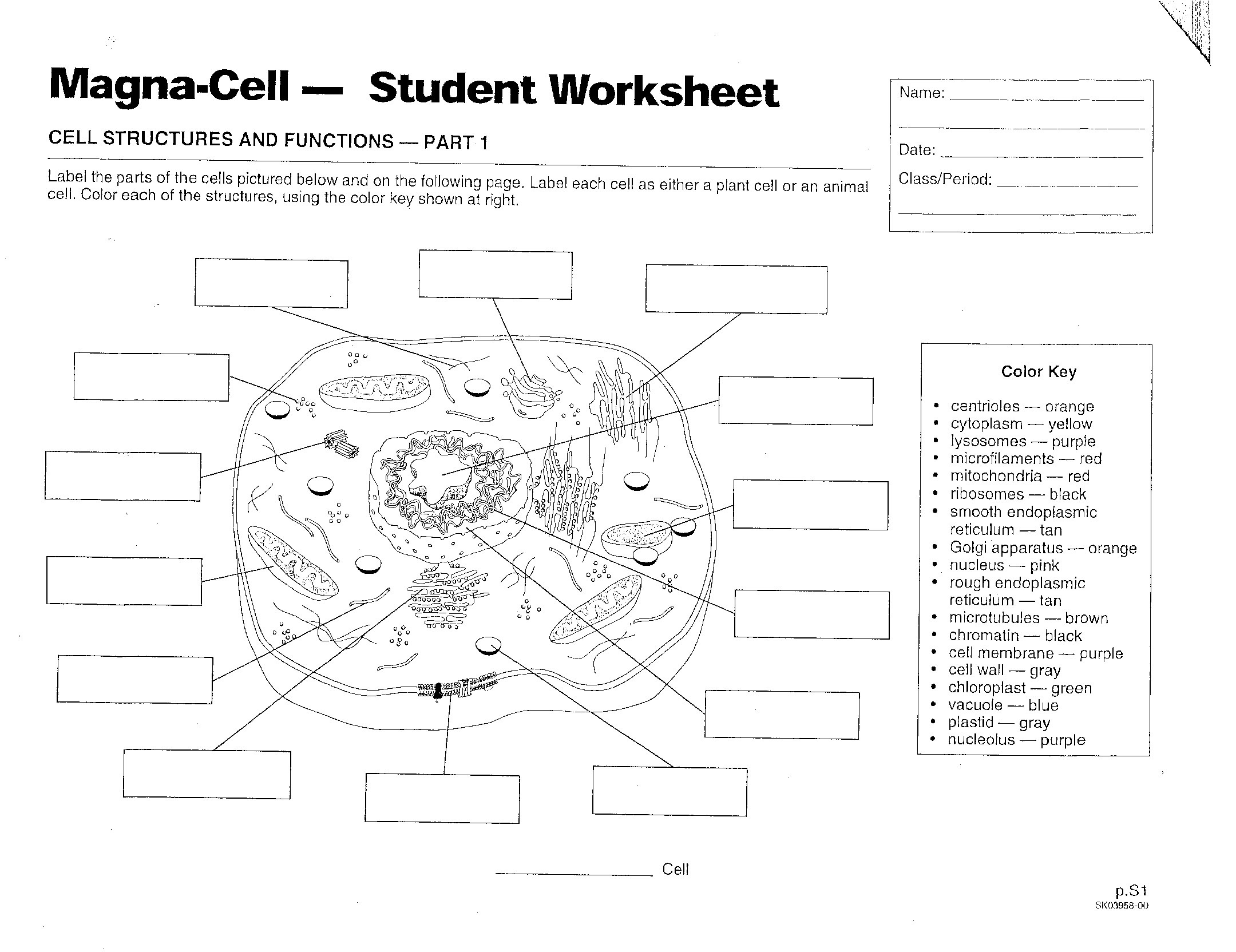 Life Science Worksheets 7th Grade 6453
