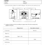 Change Of State Worksheet Worksheets For Home Learning