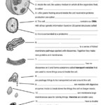 Characteristics Of Cells Worksheet