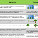 Characteristics Of Life Worksheet