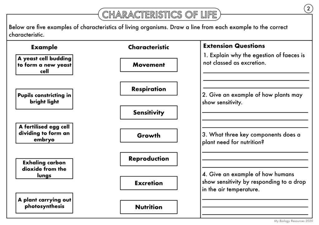 Characteristics Of Life Worksheet Answers