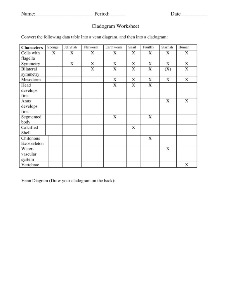 Cladogram Practice Worksheet Key Tips For Understanding And Mastering It