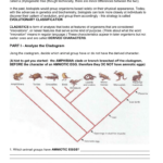 Cladogram Worksheet Biology Answers