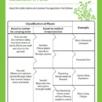 Classification Of Plants View Printable 4th Grade Science Worksheet