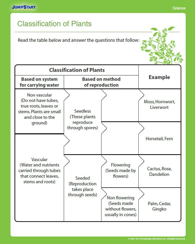 Classification Of Plants View Printable 4th Grade Science Worksheet 