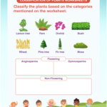 Classification Of Plants Worksheets Download Free Printables