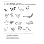 Classification Science Worksheets For Grade 3 Animals Instantworksheet