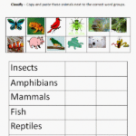 Classification Science Worksheets For Grade 3 Animals Instantworksheet