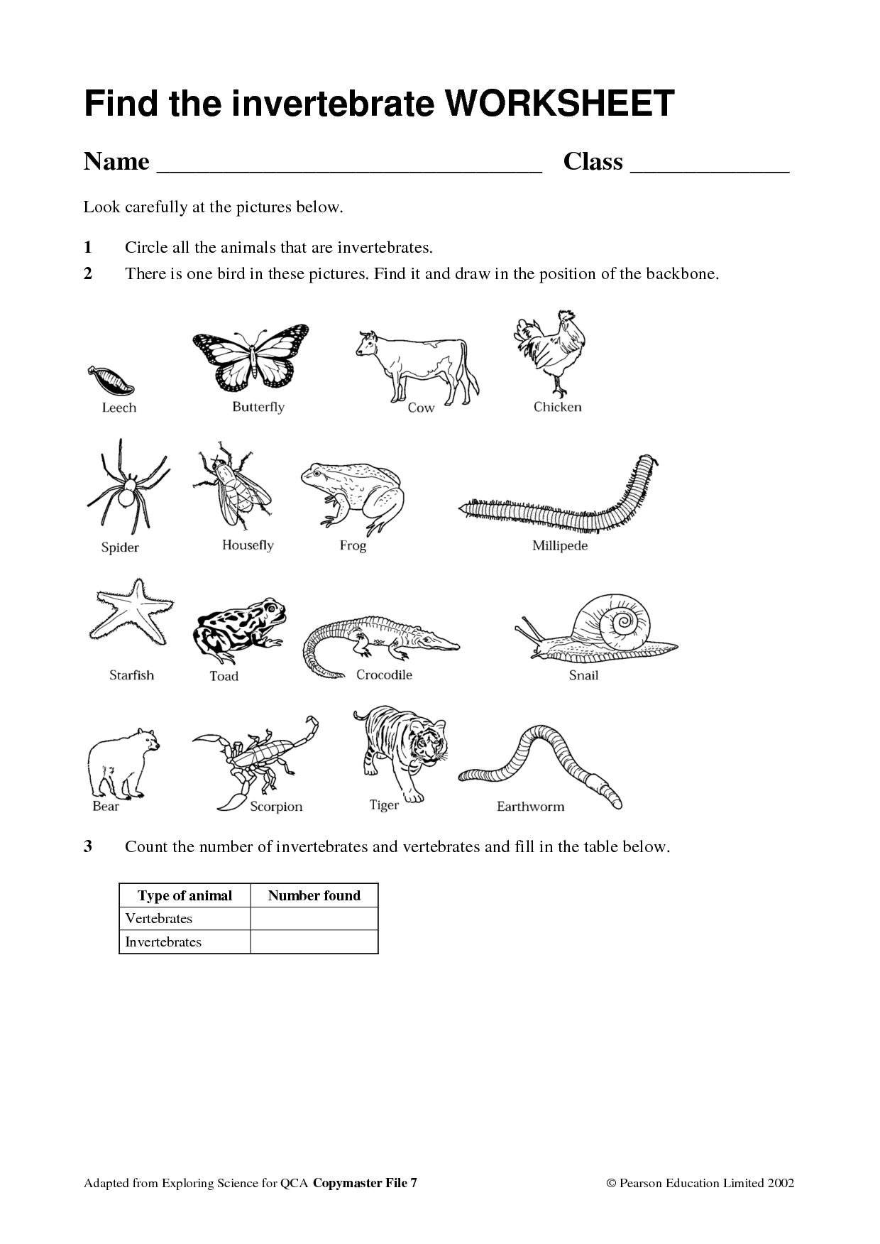 3rd Grade Science Free Worksheets Animals - Scienceworksheets.net