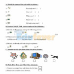 Computer Worksheet For Class 1 With Answers Pdf Download Riset